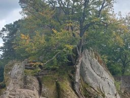 461555432993988265862455659951606065761656n